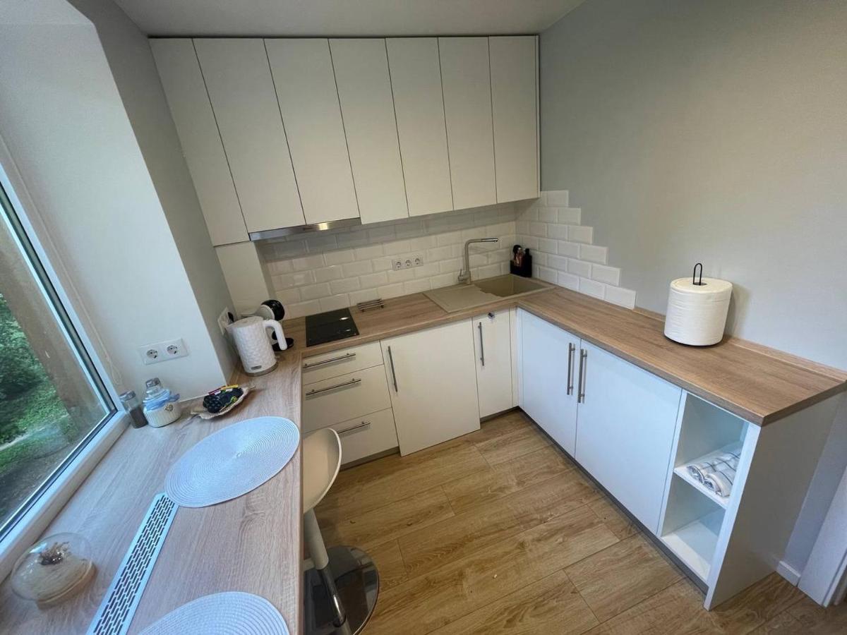 Modern 1Br Haven Near Two Parks Apartment รีกา ภายนอก รูปภาพ